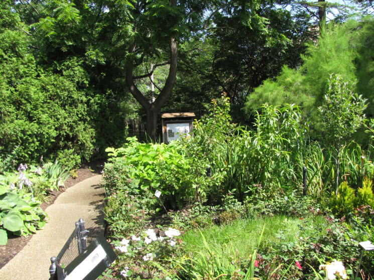 Rodef Shalom Biblical Botanical Garden, United States